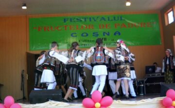 Festivalul Fructelor de Pădure, la Coșna