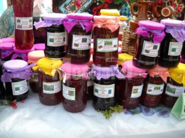 Festivalul Fructelor de Pădure, la Coșna