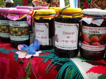 Festivalul Fructelor de Pădure, la Coșna