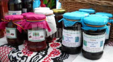Festivalul Fructelor de Pădure, la Coșna
