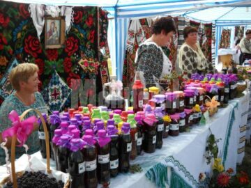 Festivalul Fructelor de Pădure, la Coșna