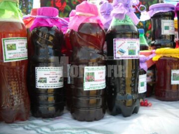 Festivalul Fructelor de Pădure, la Coșna