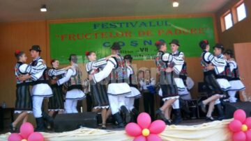 Festivalul Fructelor de Pădure, la Coșna