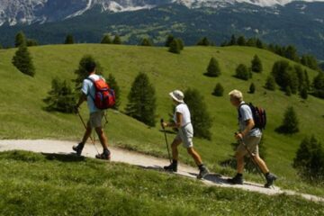 “Excursiunea echipelor Serviciului social din Fundul-Moldovei”