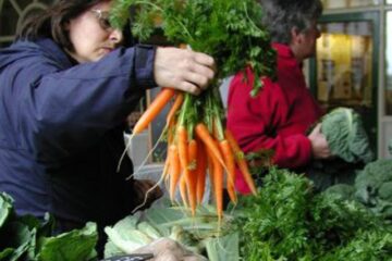 Produsele organice nu sunt mai sănătoase decât cele crescute cu pesticide