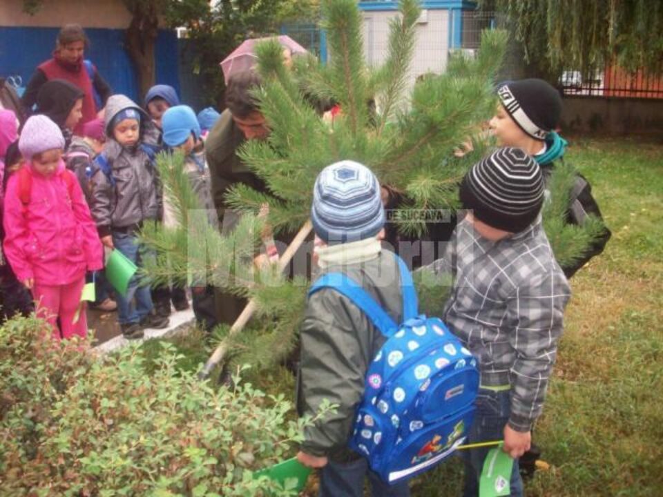 Ziua Internațională a ONU pentru pace, sărbătorită de copiii de la Grădinița „Țăndărică” din Suceava