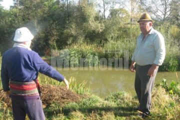 Vasile și Constantin Romega, disperați că nu s-a făcut nimic pentru îndreptarea cursului apei