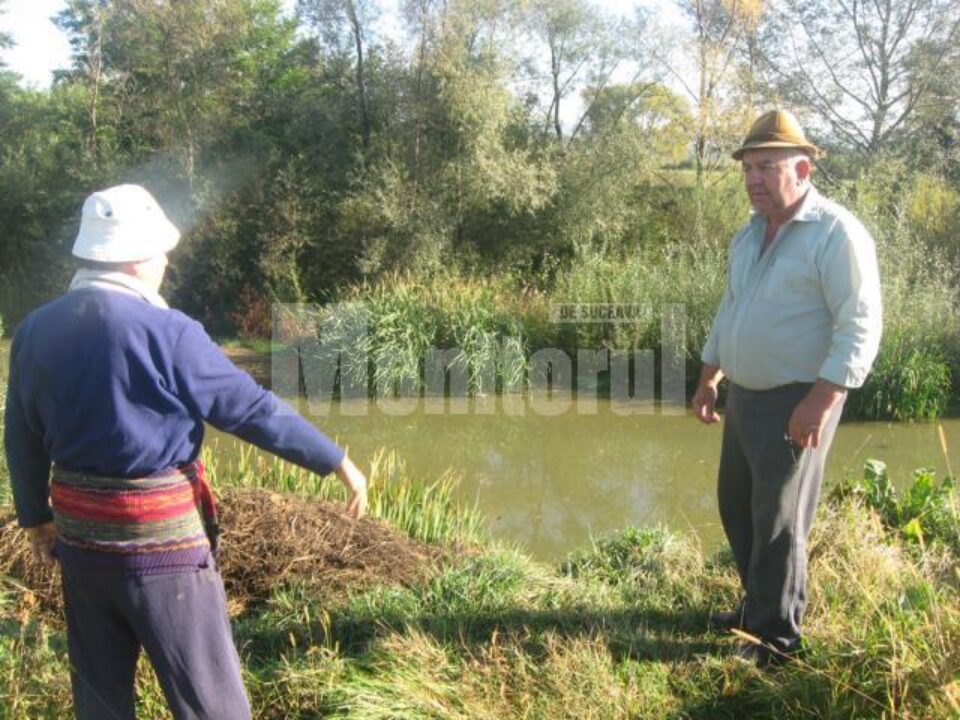 Vasile și Constantin Romega, disperați că nu s-a făcut nimic pentru îndreptarea cursului apei