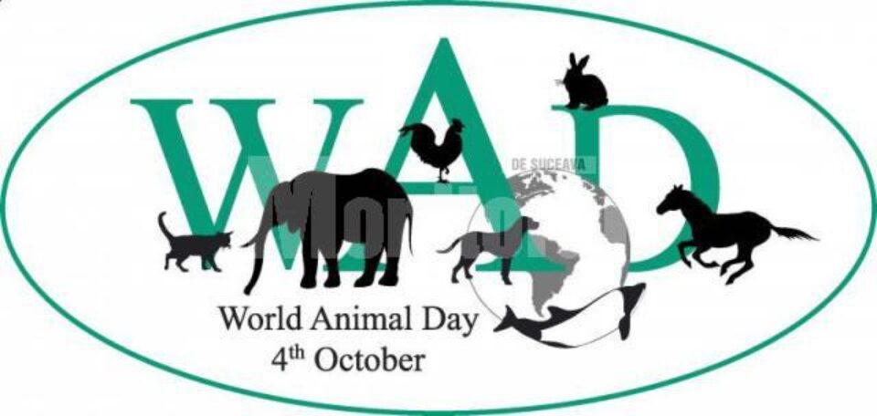 Ziua Mondială a Animalelor