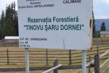 Unde fugim de-acasă…
