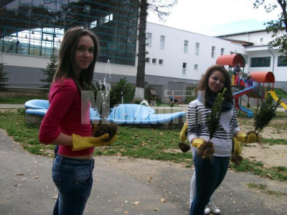 Activități de voluntariat pentru elevi, la Gura Humorului