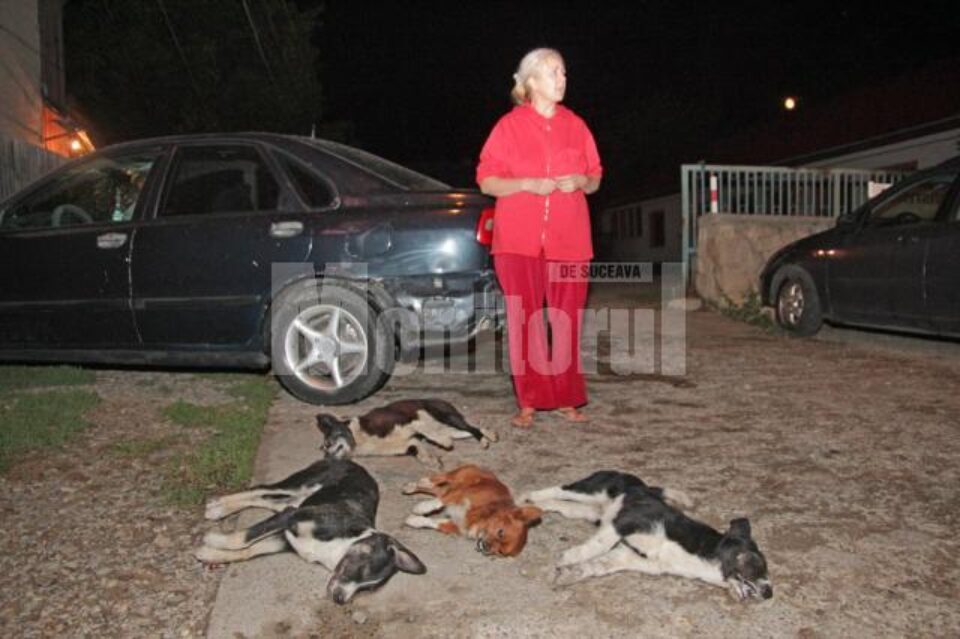 Un pechinez a căzut și el victima otravei