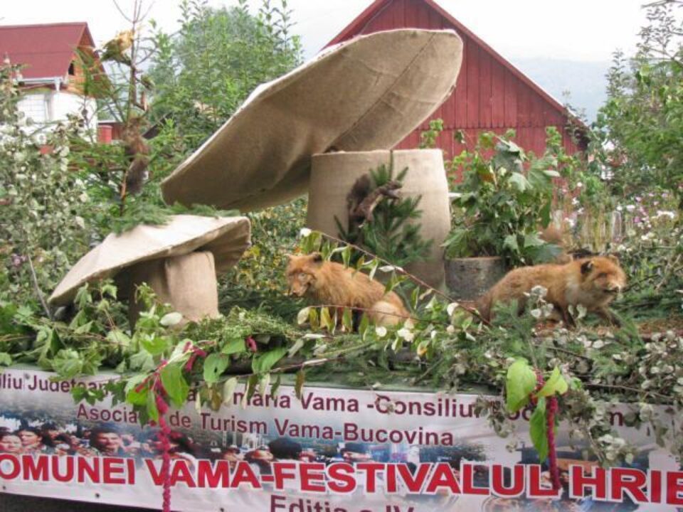 Serbările Comunei Vama