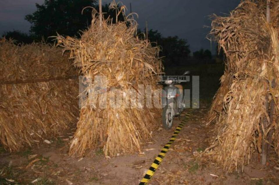 Țigări de contrabandă, cărate cu scuterul și ascunse în gluga de coceni