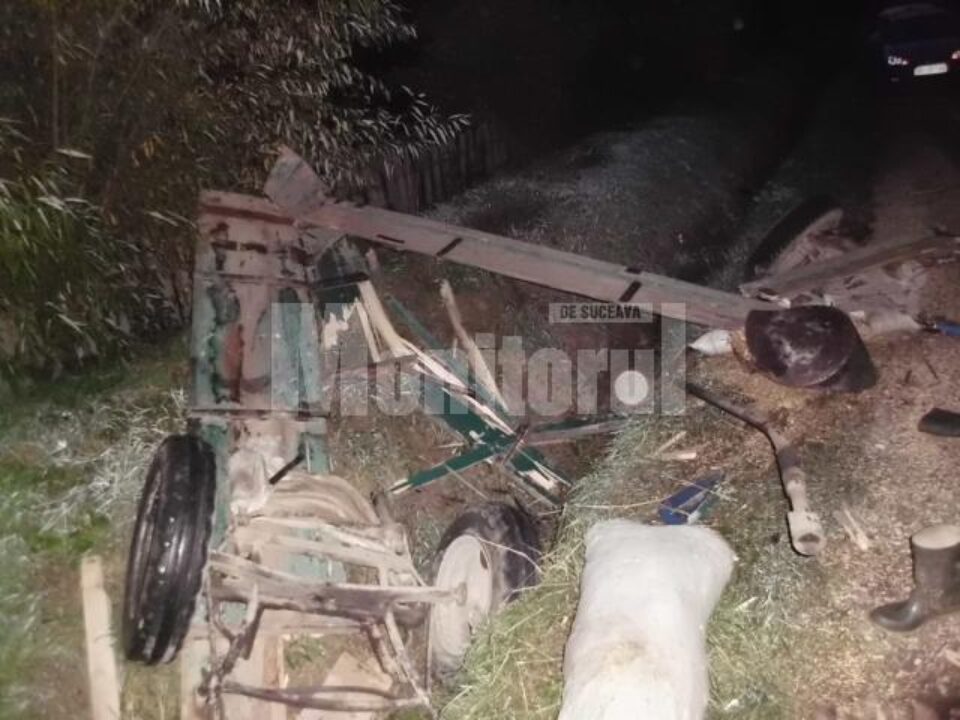 În urma impactului, căruța a fost făcută bucăți