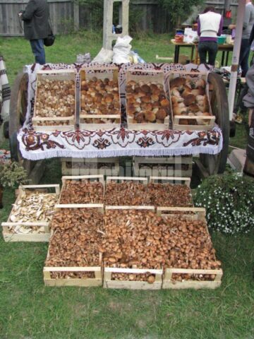 Festivalul hribului a reunit pensiunile din zonă, meșteri populari, ansambluri folclorice și soliști de muzică populară