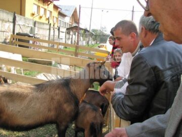 „Târgul Lăptarilor” și „Drumul Lemnului” la Câmpulung