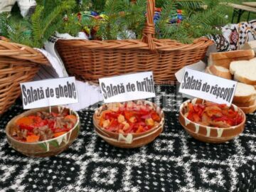Festivalul hribului a reunit pensiunile din zonă, meșteri populari, ansambluri folclorice și soliști de muzică populară