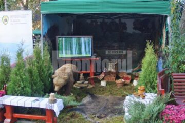 La standul Direcției Silvice sunt expuse animale împăiate