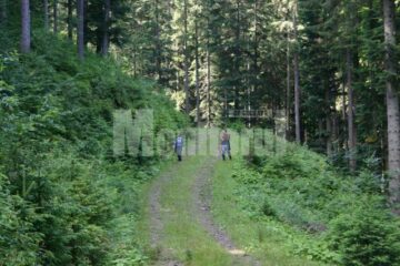 Județul Suceava nu are încă pachete turistice pentru a fi oferite tour-operatorilor