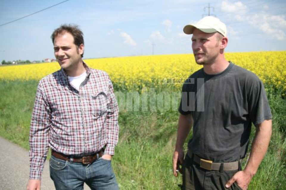 Nemții care cultivă o mie de hectare de teren în zona Fălticeni au căzut victime hoților de porumb