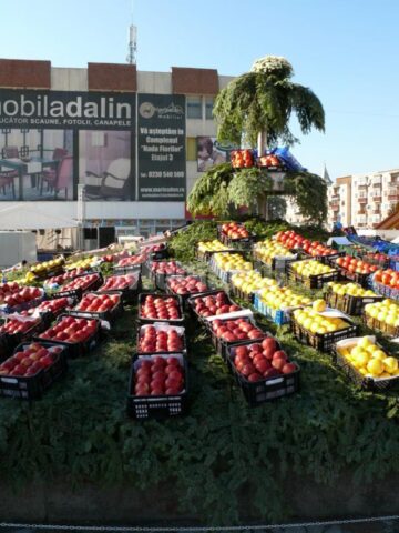 Sărbătoarea pomicultorilor din Fălticeni s-a desfășurat în Piața „Nada Florilor”
