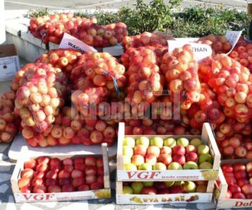 Sărbătoarea pomicultorilor din Fălticeni s-a desfășurat în Piața „Nada Florilor”