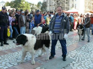 Parada Ciobăneștilor de Bucovina, la Fălticeni