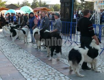 Parada Ciobăneștilor de Bucovina, la Fălticeni