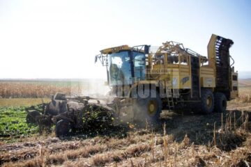 Combina gigant de recoltare a sfeclei