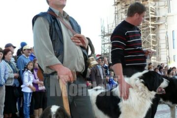 Parada Ciobăneștilor de Bucovina, la Fălticeni