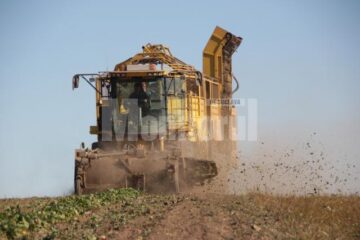 Combina gigant de recoltare a sfeclei