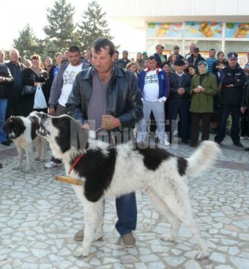 Parada Ciobăneștilor de Bucovina, la Fălticeni