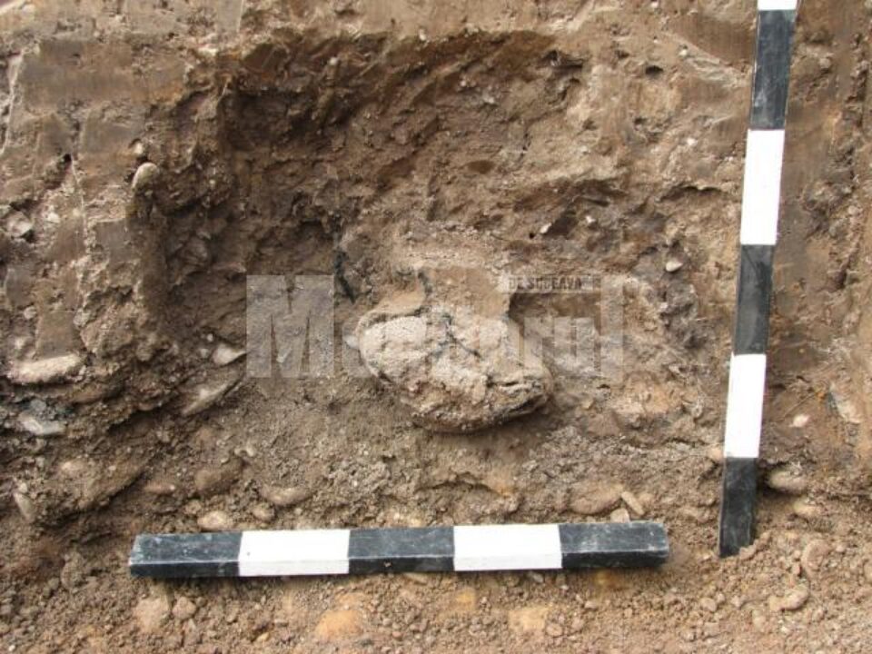 Cercetări de diagnostic arheologic în marea necropolă tumulară din Horodnic de Jos