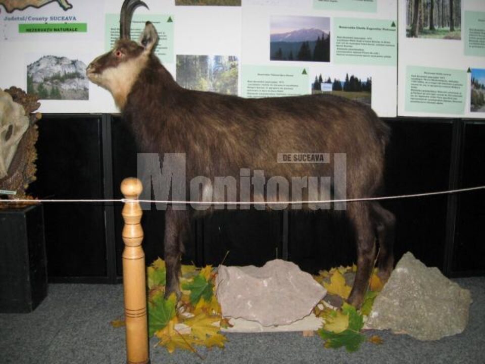 Expoziția „Rezervațiile naturale din ținuturile Sucevei“