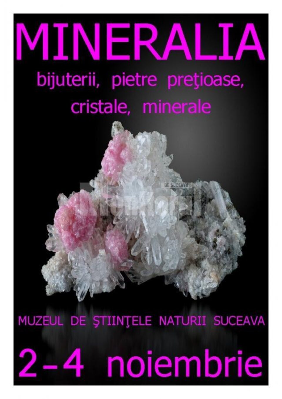 Expoziția „Mineralia”