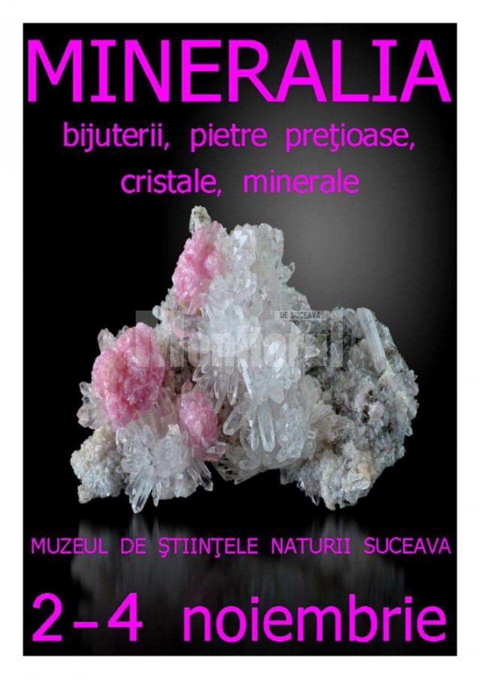 Expoziția Mineralia