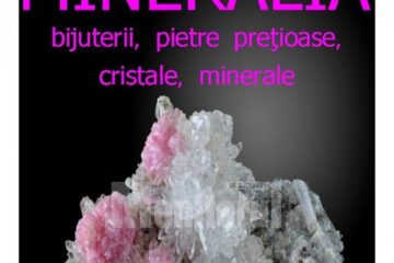 Expoziția Mineralia