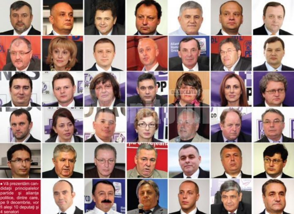 Dintre ei se vor alege parlamentarii județului