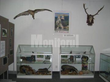 Expoziția „Rezervațiile naturale din ținuturile Sucevei” poate fi vizitată până pe 26 noiembrie