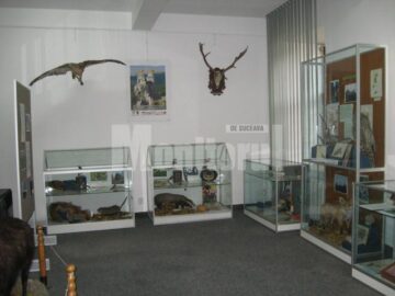 Expoziția „Rezervațiile naturale din ținuturile Sucevei” poate fi vizitată până pe 26 noiembrie
