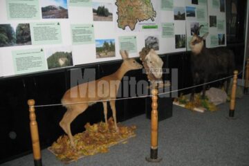 Expoziția „Rezervațiile naturale din ținuturile Sucevei” poate fi vizitată până pe 26 noiembrie