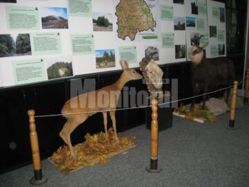 Expoziția „Rezervațiile naturale din ținuturile Sucevei” poate fi vizitată până pe 26 noiembrie