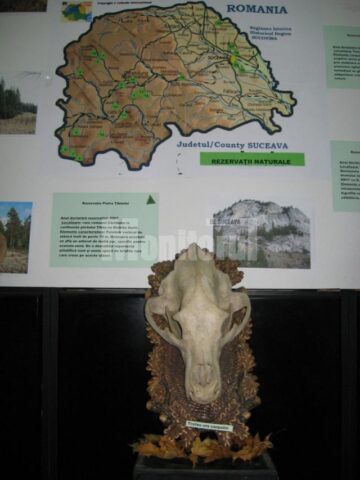 Expoziția „Rezervațiile naturale din ținuturile Sucevei” poate fi vizitată până pe 26 noiembrie