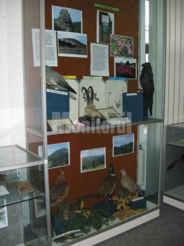 Expoziția „Rezervațiile naturale din ținuturile Sucevei” poate fi vizitată până pe 26 noiembrie