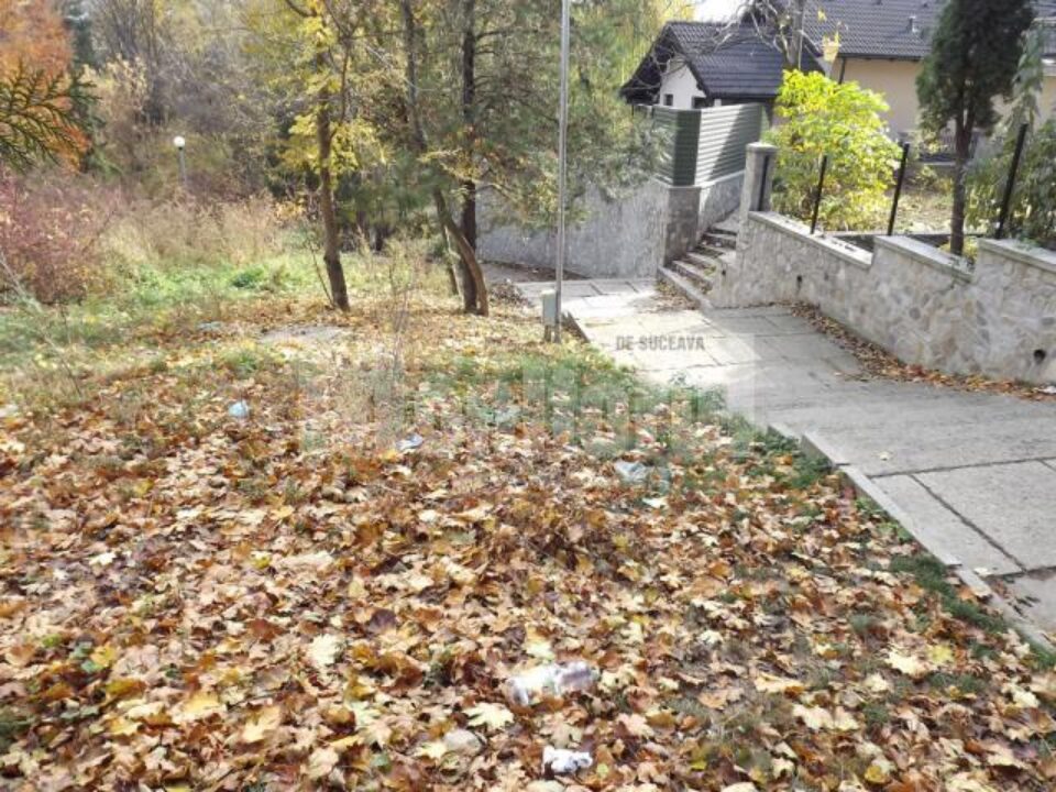 Aleile parcului dendrologic Șipote au fost curățate ieri de gunoaie