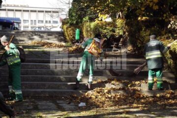 Aleile parcului dendrologic Șipote au fost curățate ieri de gunoaie