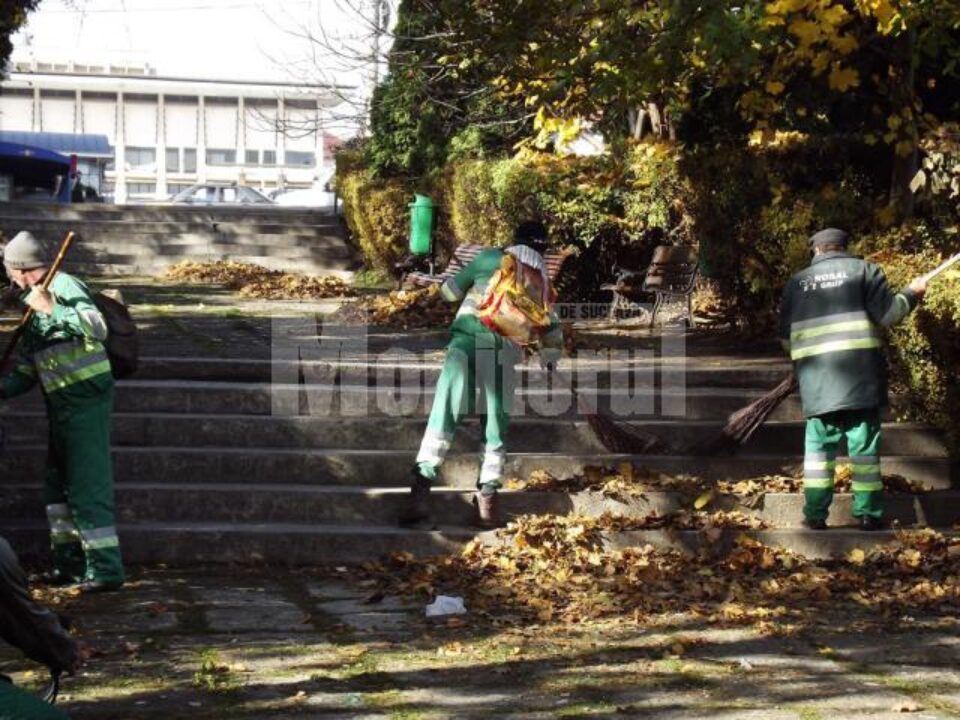 Aleile parcului dendrologic Șipote au fost curățate ieri de gunoaie