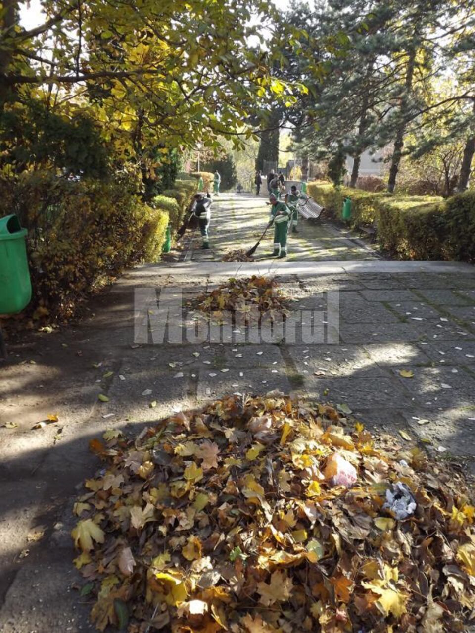 Aleile parcului dendrologic Șipote au fost curățate ieri de gunoaie