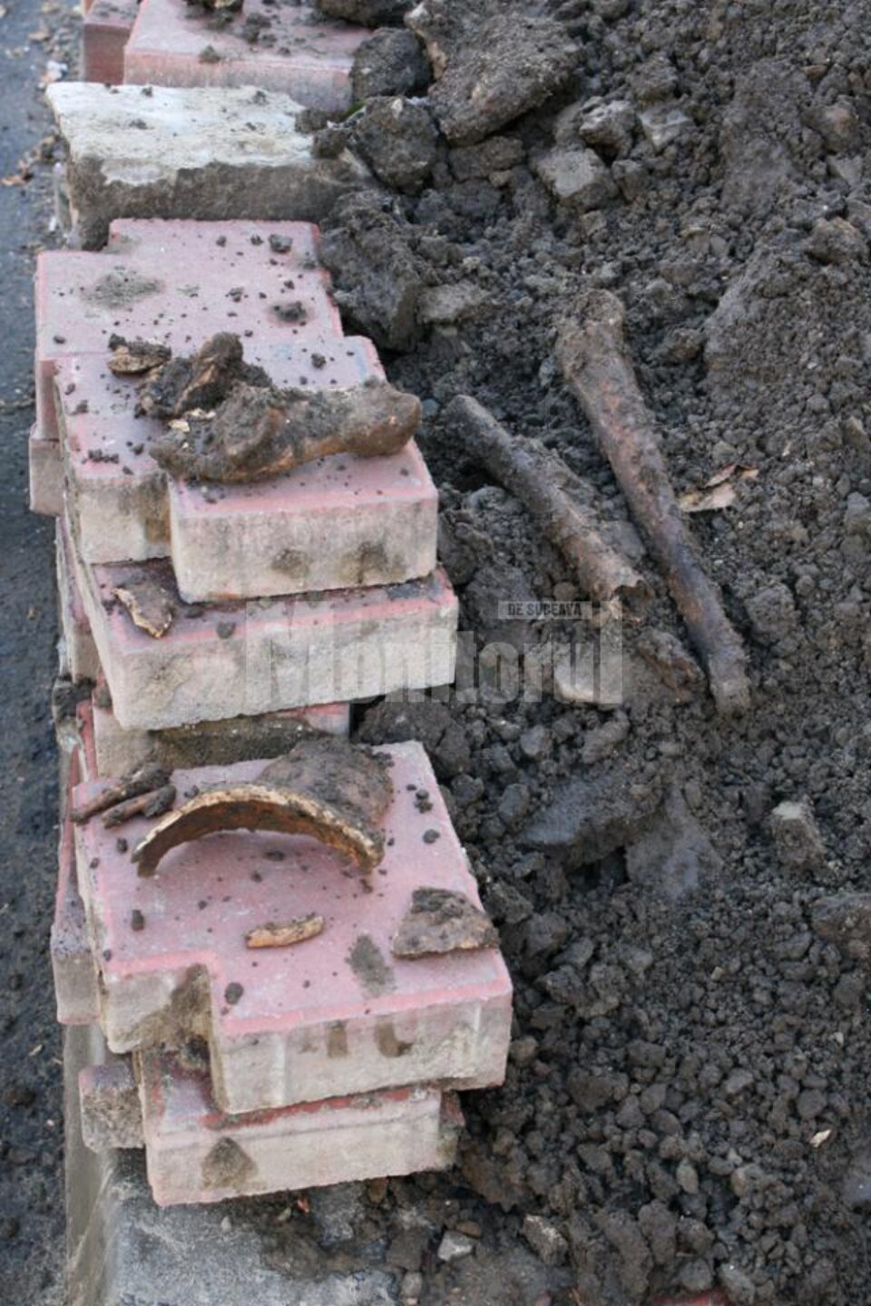 Oseminte umane din epoca medievală, descoperite în centrul Sucevei